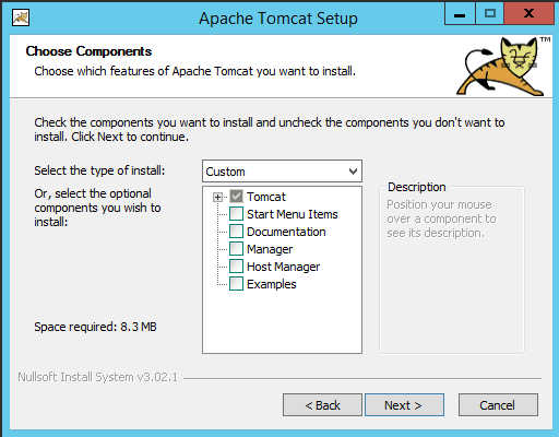 Tomcat Setup 1