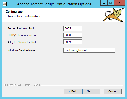 Tomcat Setup 2